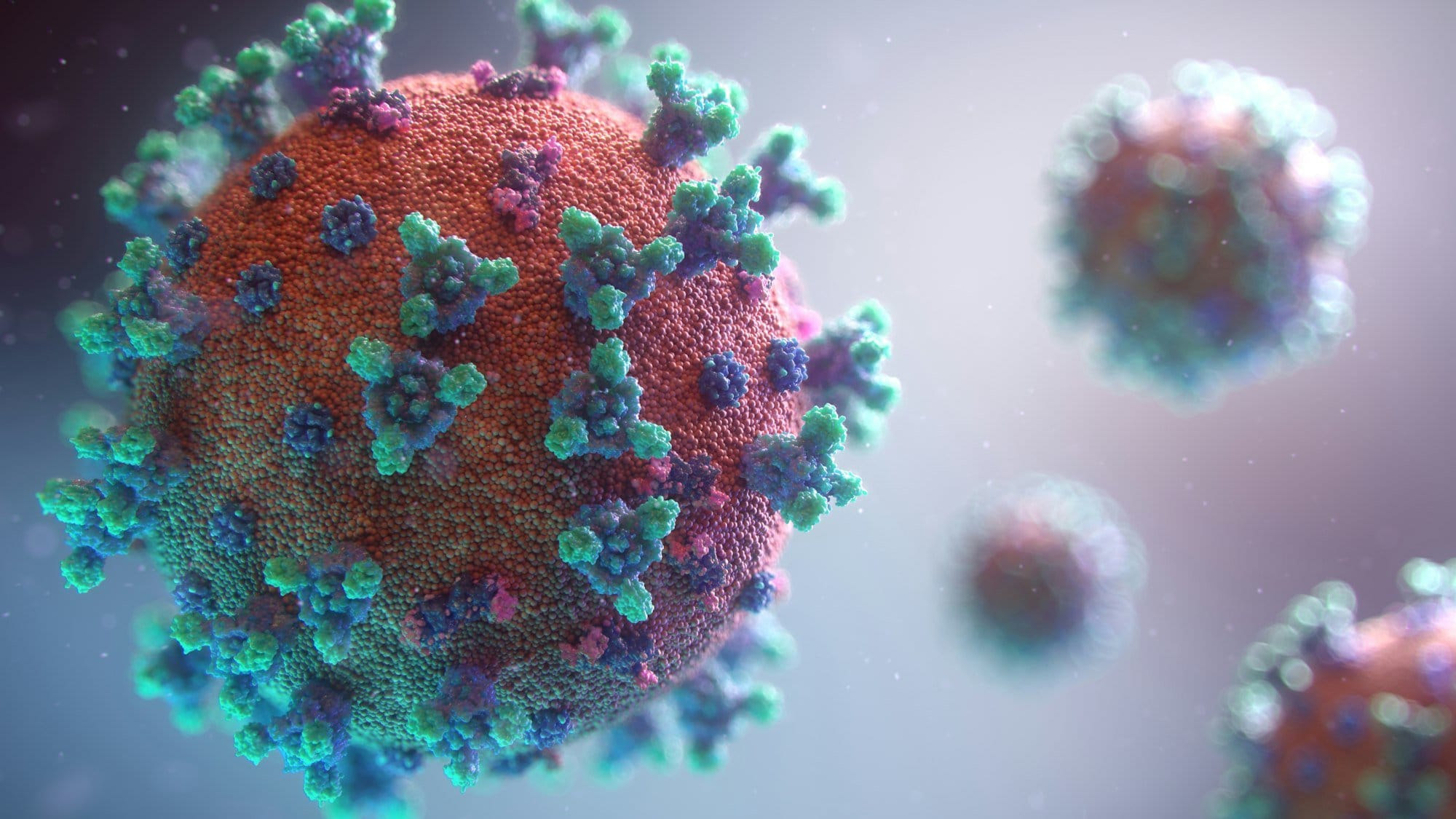 Virus Mpox Sudah Masuk Indonesia, Kemenkes Minta Masyarakat Waspada
